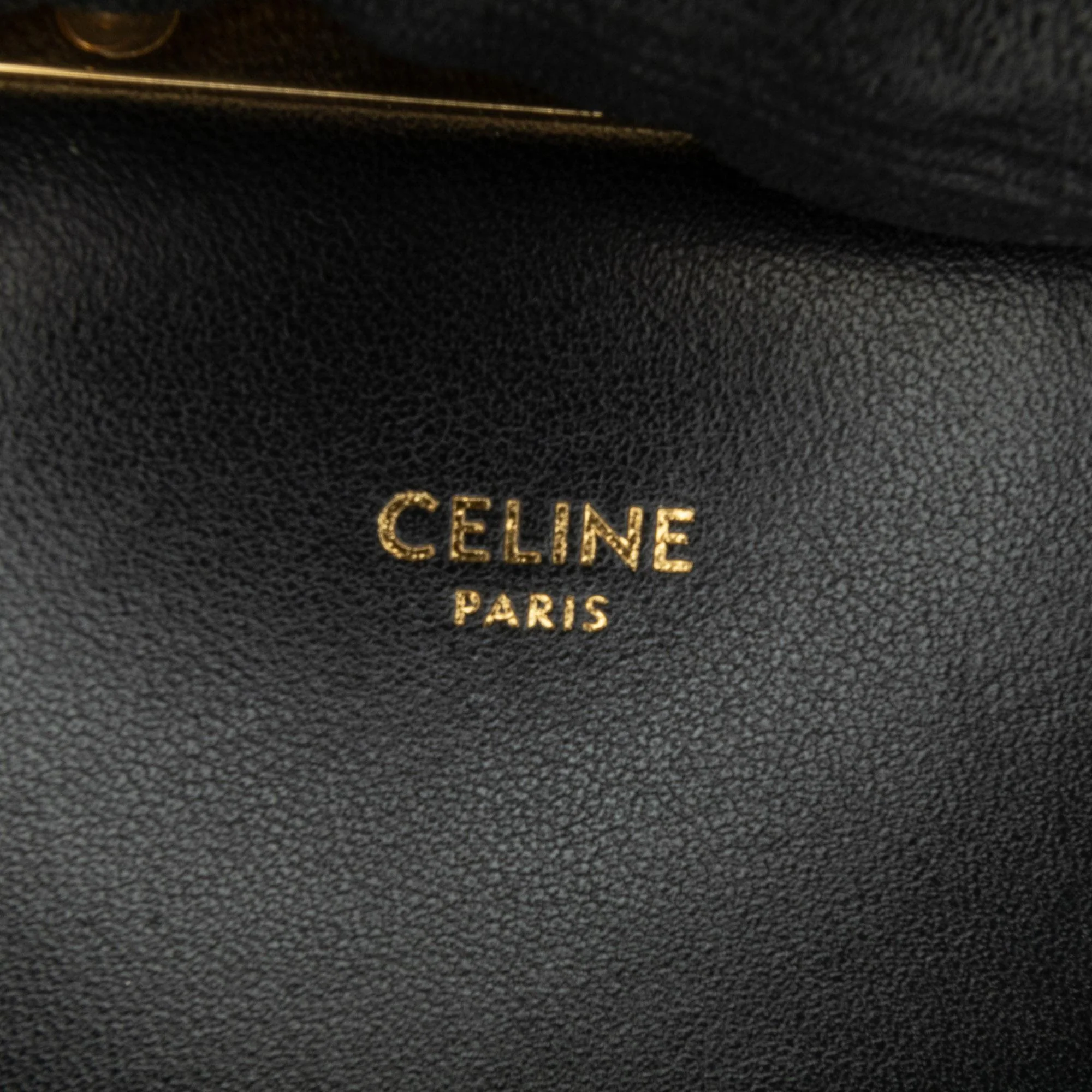 Celine Embroidered Canvas Triomphe Crossbody - Image 6