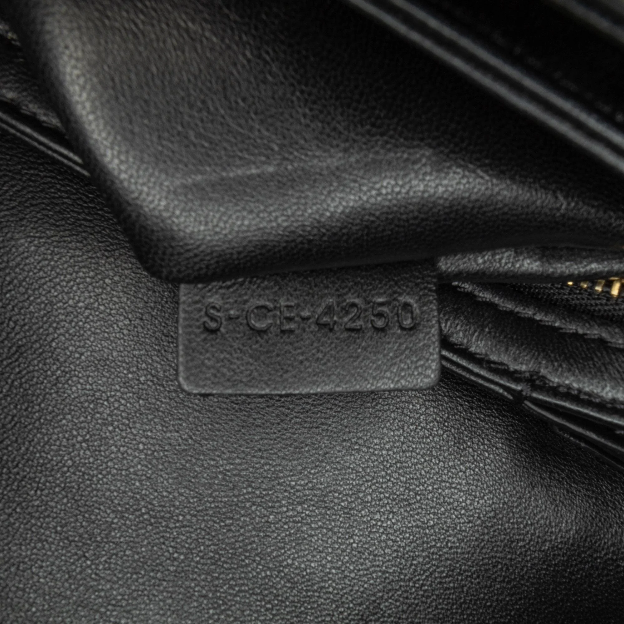 Celine Embroidered Canvas Triomphe Crossbody - Image 7