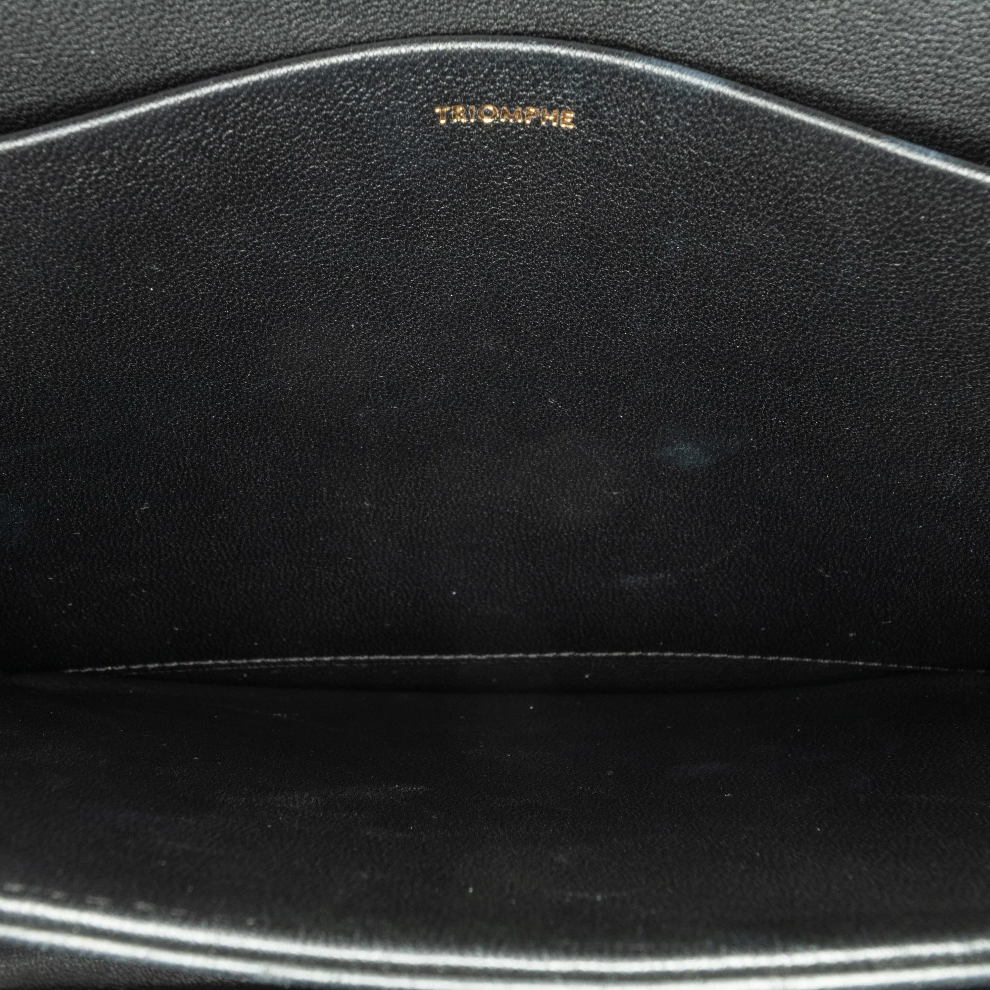 Celine Embroidered Canvas Triomphe Crossbody - Image 9