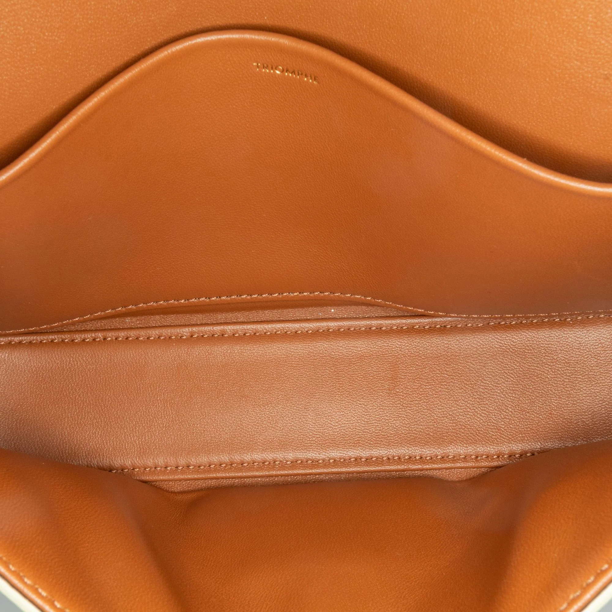 Celine Triomphe Coated Canvas Claude Shoulder Bag - Image 4