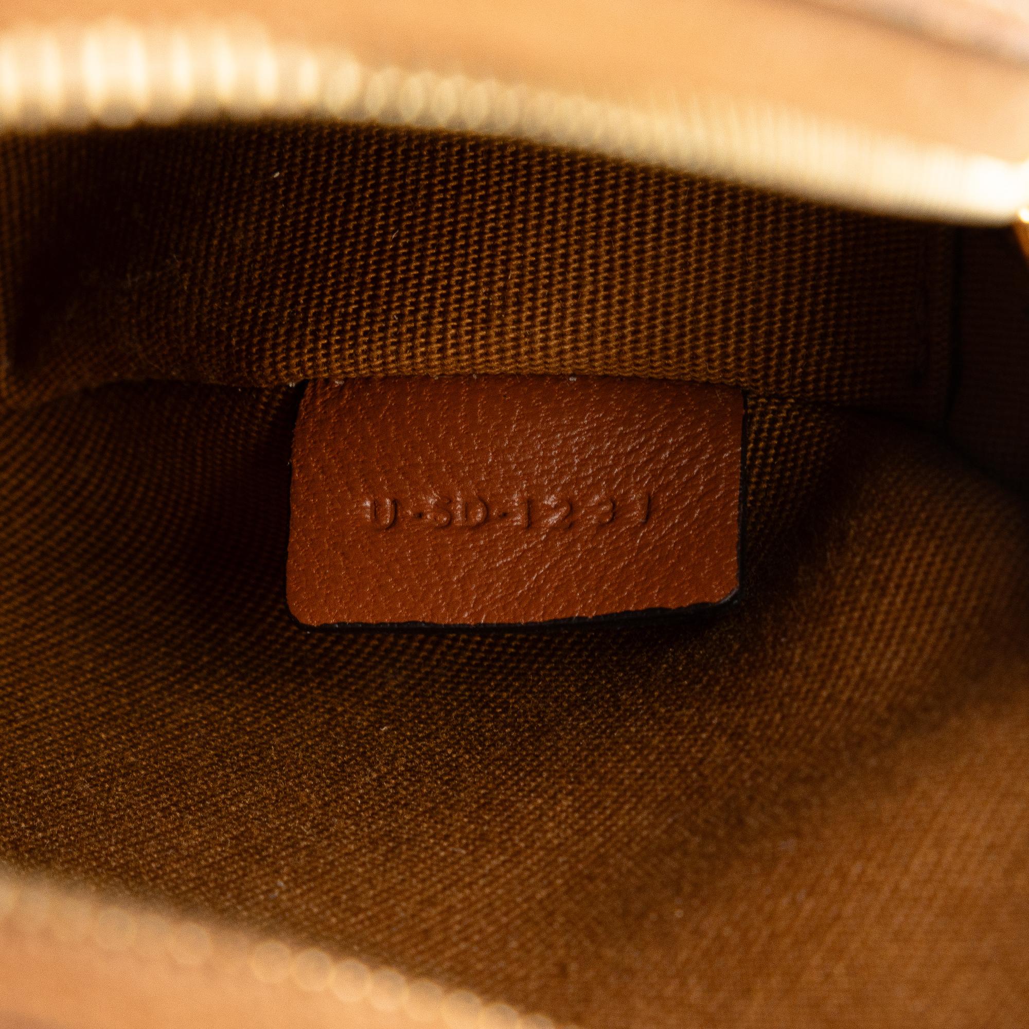 Celine Triomphe Round Purse on Strap - Image 9