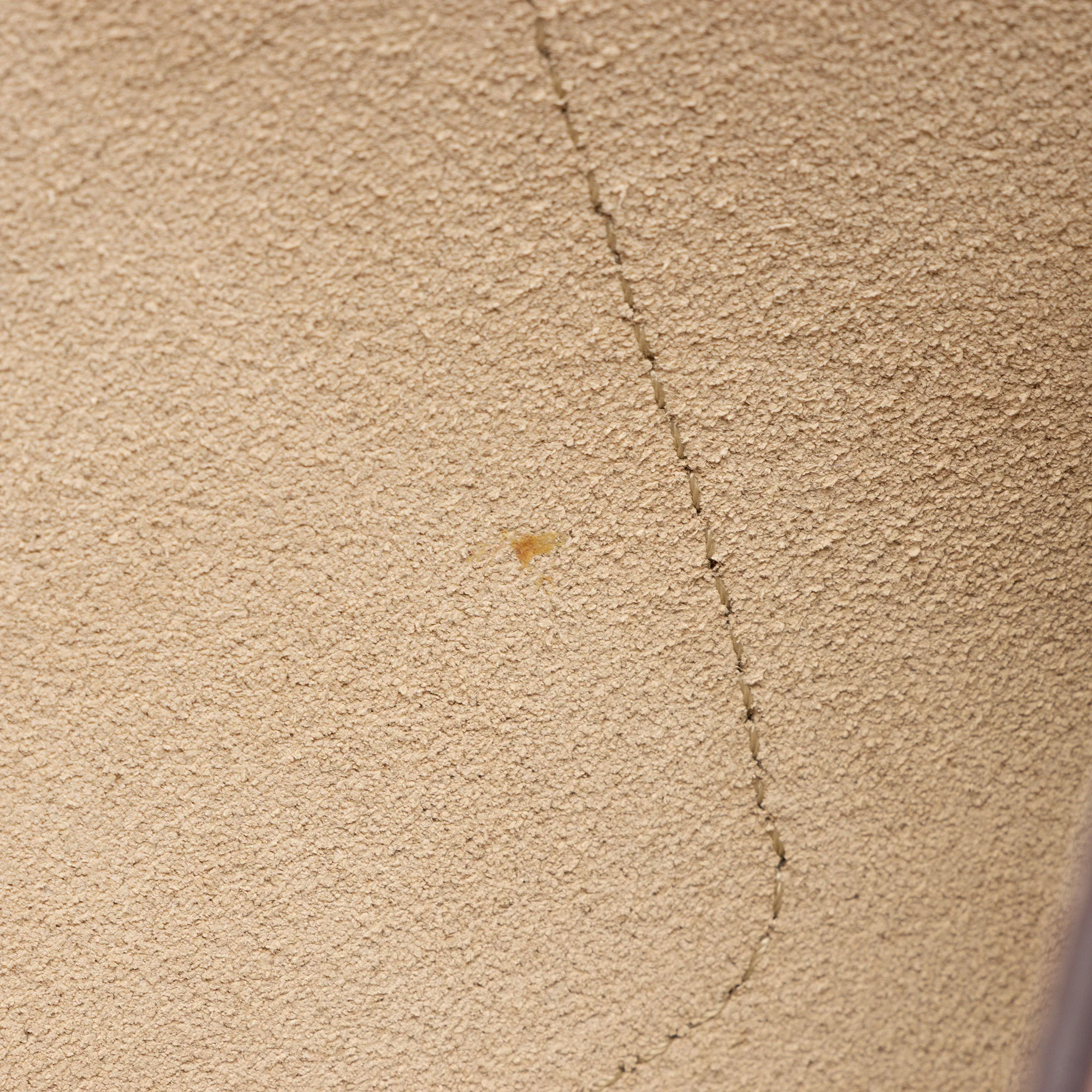 Chloe Calfskin Suede Faye Small Shoulder Bag - Image 15