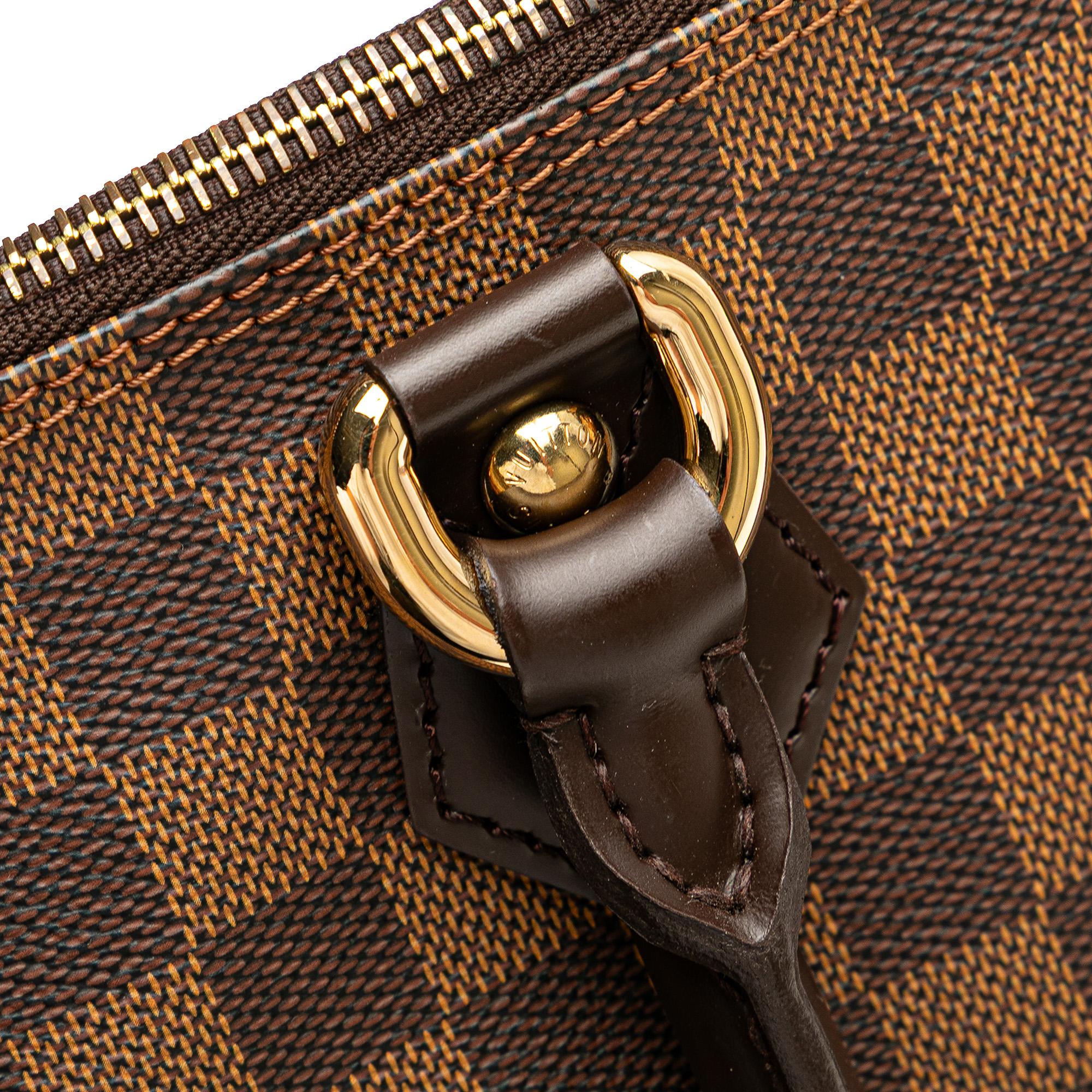 Louis Vuitton Damier Ebene Saleya PM - Image 10
