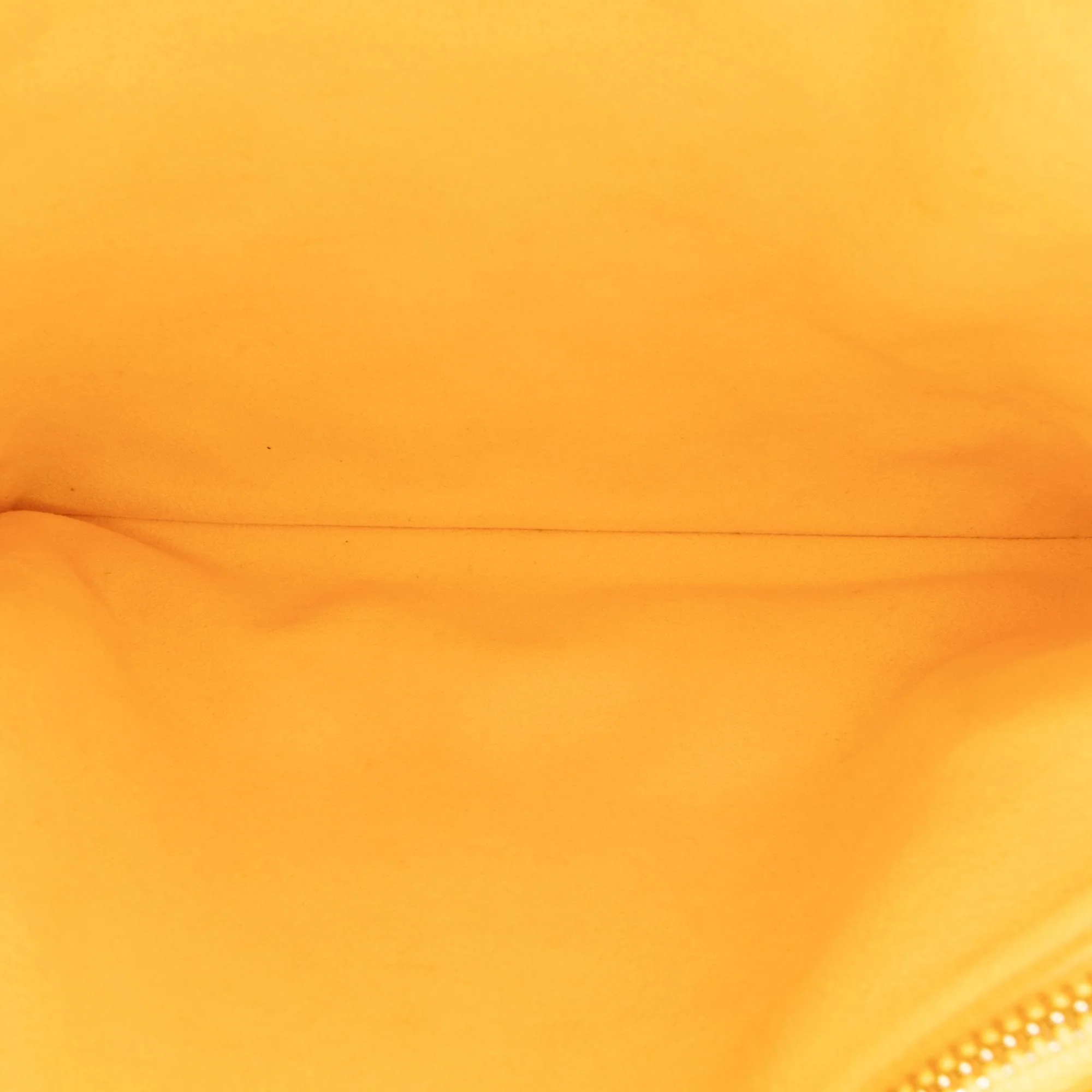 Louis Vuitton Monogram Coussin PM - Image 7