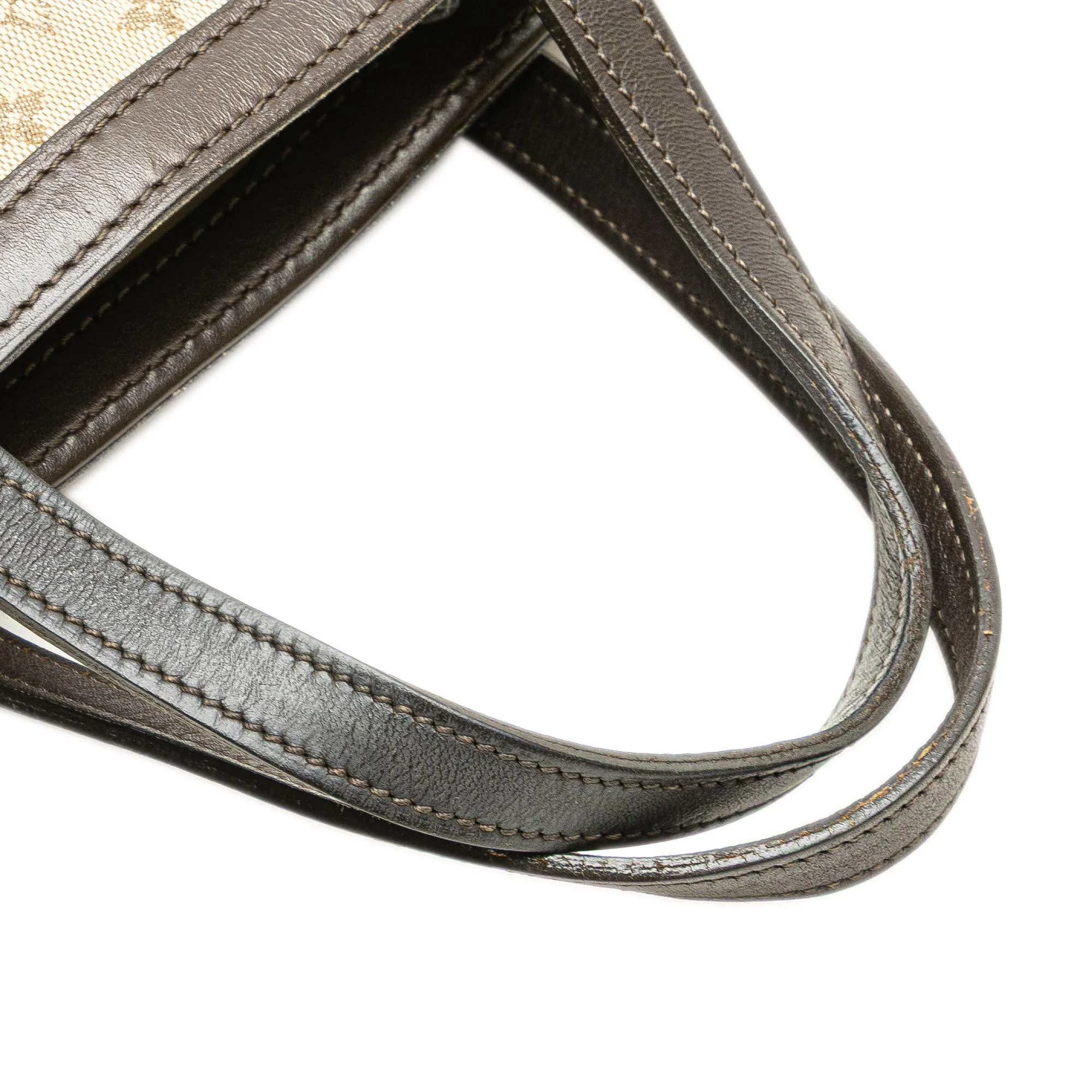 Louis Vuitton Monogram Mini Lin Francoise - Image 14