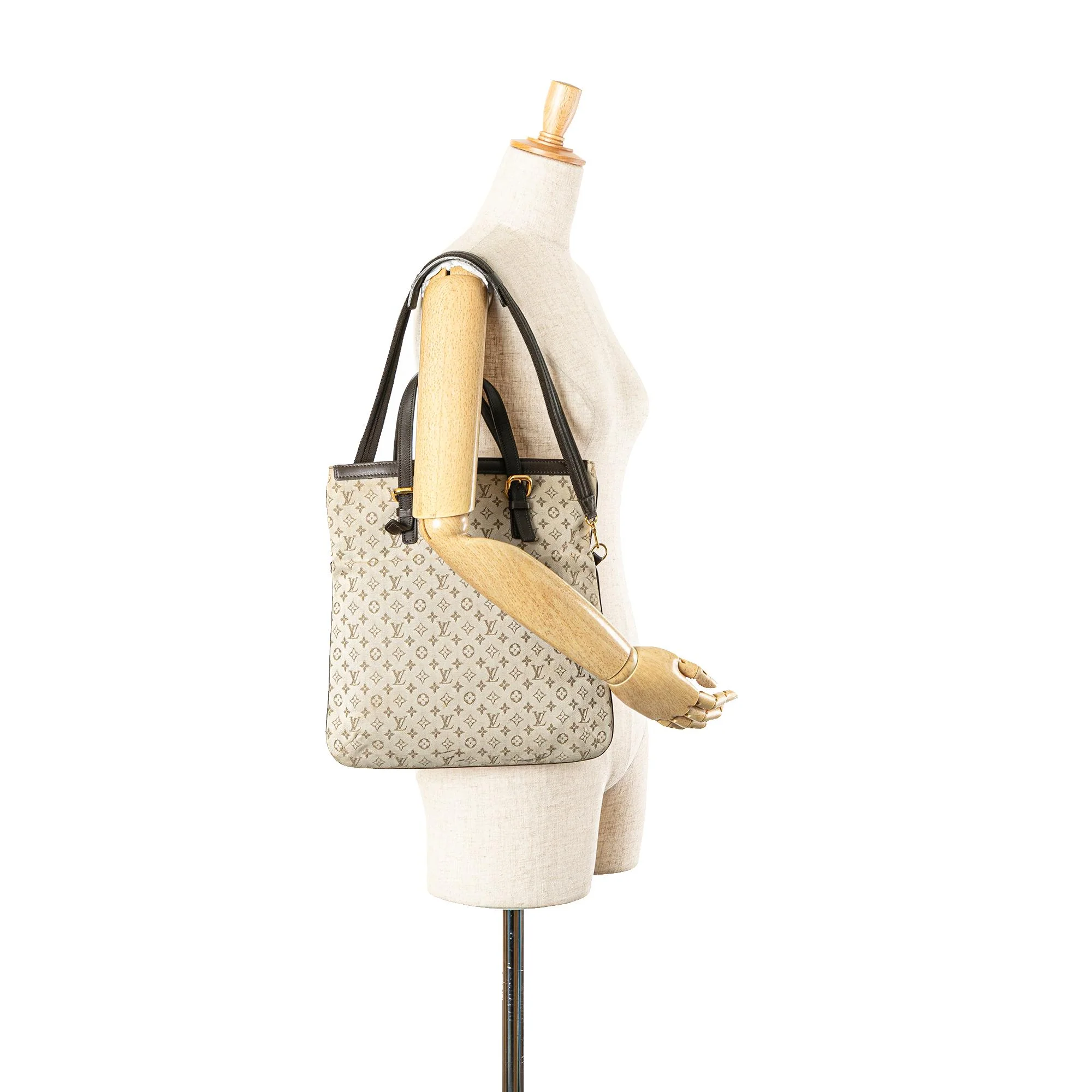 Louis Vuitton Monogram Mini Lin Francoise - Image 5
