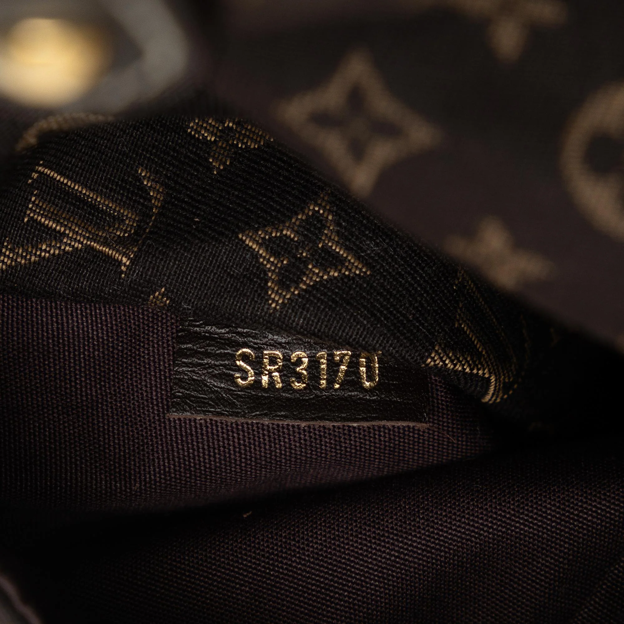 Louis Vuitton Monogram Mini Lin Romance - Image 8