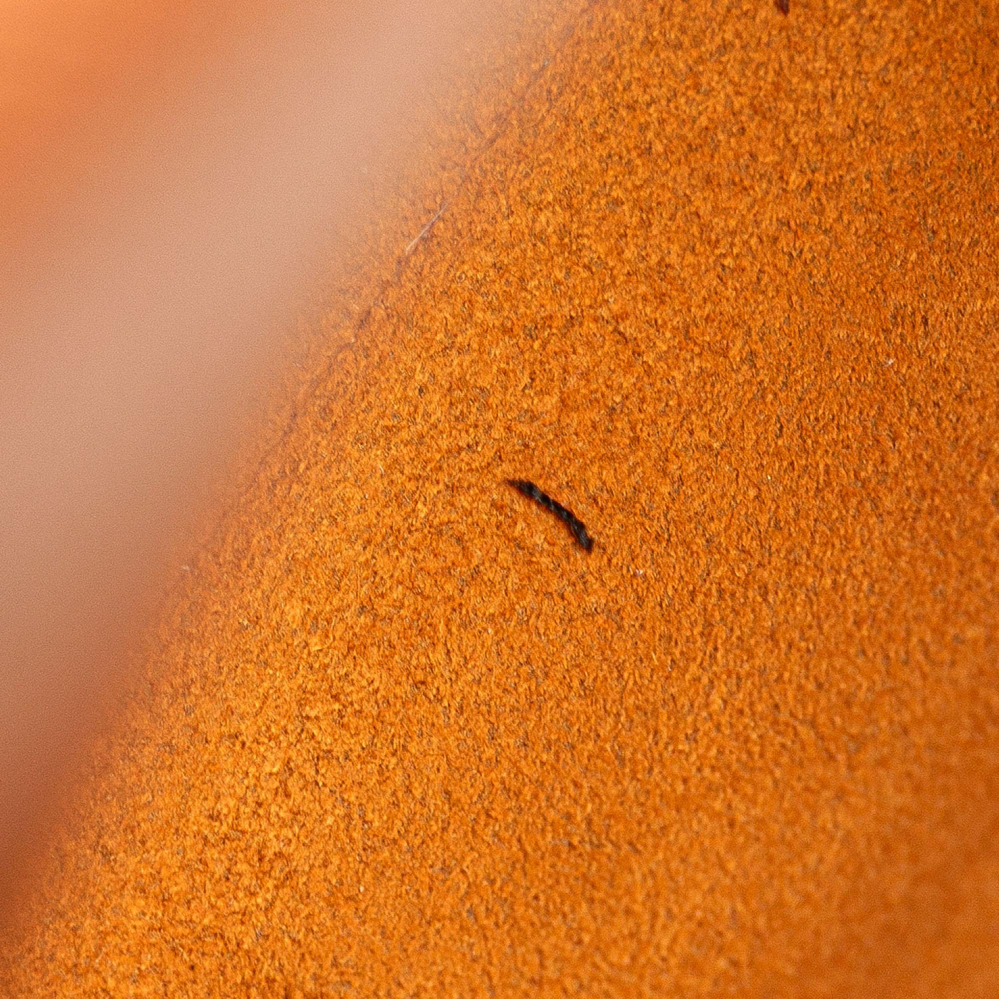 Louis Vuitton Monogram Musette Salsa Short Strap - Image 7